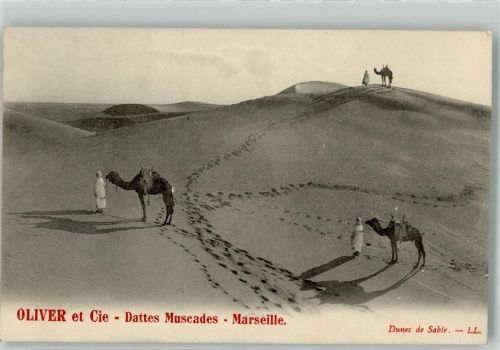 Bild: Dunes de Sable , Kamel Beduine Werbung : Oliver et Cie - Dattes Muscades Marseille