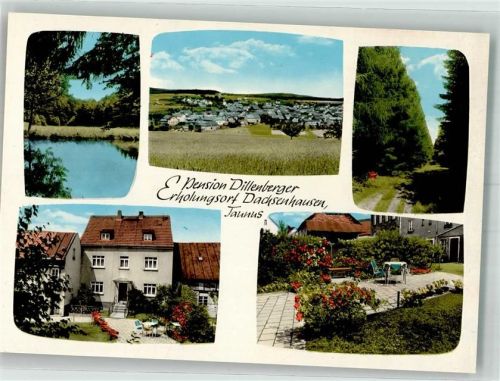 56340 W5421 Dachsenhausen Werbe AK Pension Dillenberger
