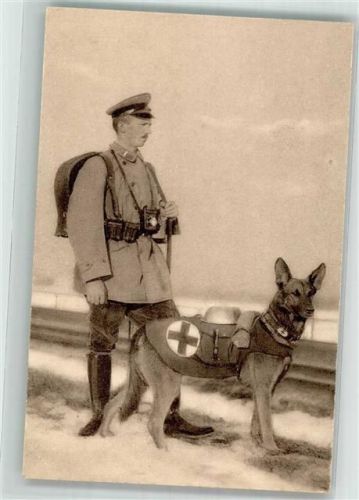 1915 Belgischer Schäferhund Rotes Kreuz Soldat Uniform