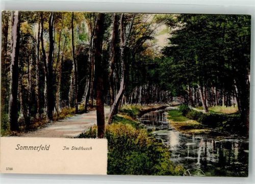 Sommerfeld Im Stadtbusch