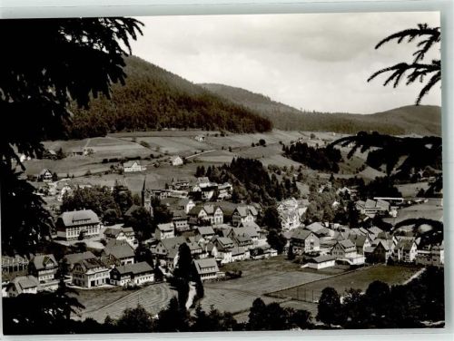 Mitteltal