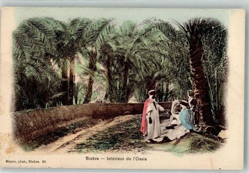 Biskra 1906 Inneres einer Oase