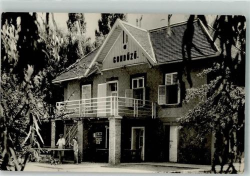 Balatonboglar 1960 Foto AK Pension