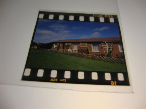 Friedrichskoog Gasthaus zur Spitze, Dia