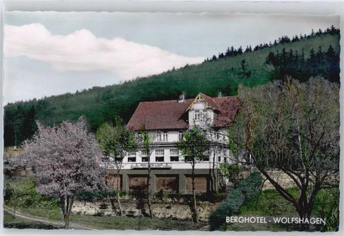 38685 W3394 Wolfshagen im Harz - Berghotel