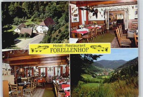 Oberprechtal Hotel, Restaurant Forellenhof