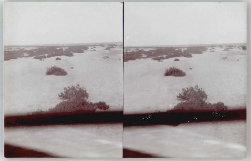 Biskra - Stereofoto, Flusslauf durch die Sahara, Blick von Oned-Brücke