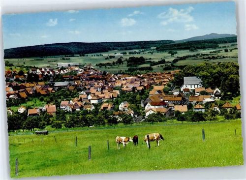 63688 W6473 Gedern - Kuhweide