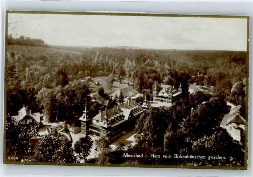 Alexisbad Ortsansicht vom Birkenhäuschen gesehen