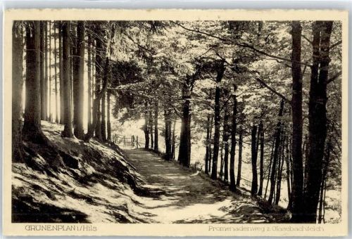 Grünenplan Promenadenwerg zum Glasebachteich