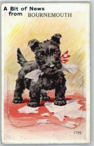 Bournemouth Leporello, Hund