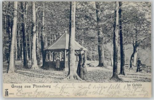 25421 W2080 Pinneberg - Ortsansicht, Im Gehölz