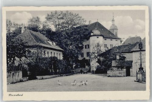 Wiesentheid Gänse , Marktplatz