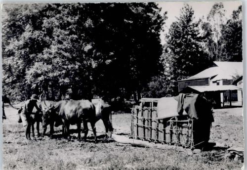 Ambulance Zambezienne