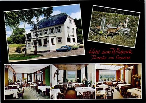 Amecke Hotel Cafe Restaurant zum Wildpark