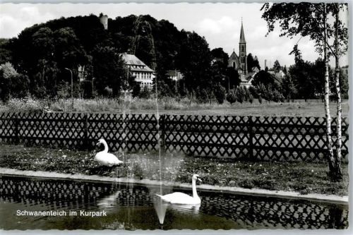 Bad Soden-Salmünster Schwanenteich im Kurpark AKU1