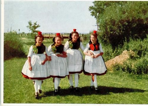 34626 W3579 Neukirchen , Knüllgeb - Schwalm Kirmesgang Tracht