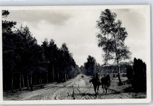 Müden Weg beim Wietzer Berg