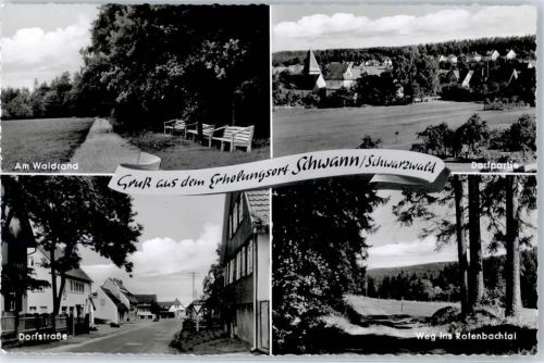 Schwann
