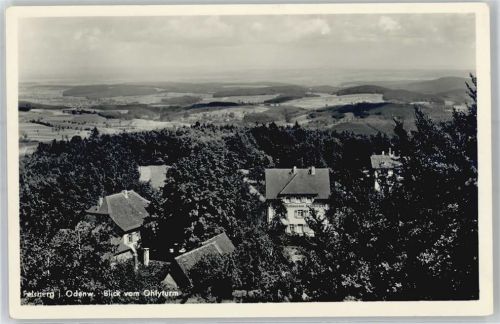 Felsberg Blick vom Ohly Turm