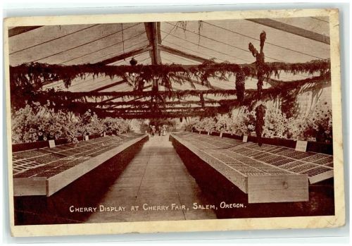 Salem Cherry Display