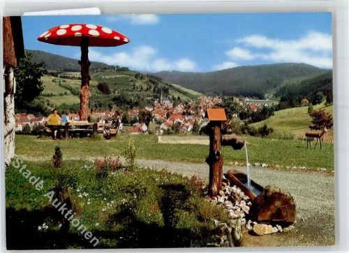 Wallenfels Blick vom Herrgottswinkel