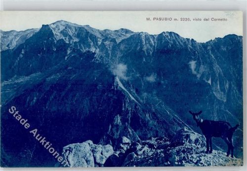 Vicenza M Pasubio vista dal Cornetto