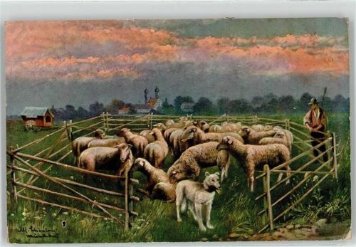 1910 Schafe Hund