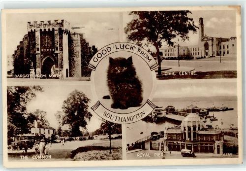 Southampton 1950 Hafen Katze