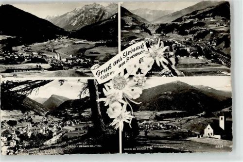 Steinach Tirol Edelweiß