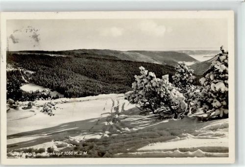 Ruhestein