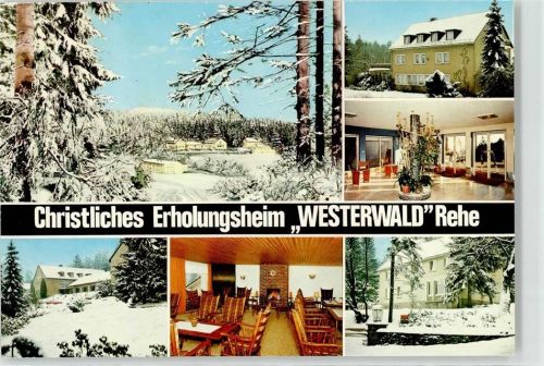 Rehe Winter Erholungsheim Westerwald