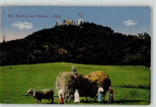 Adenau Heuernte Nürburg