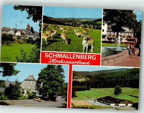 Schmallenberg 1993 Wildtiere Gasthaus