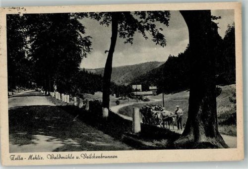 Zella-Mehlis 1943 Waldmühle und Veilchenbrunnen