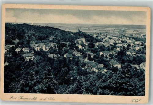 Bad Freienwalde 1928 Panorama des Ortes mit Stadtpfarrkirche St. Nikolai