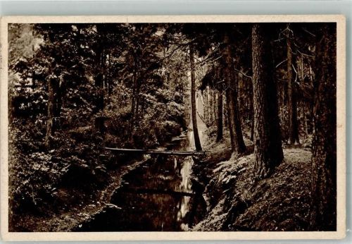 Müden 1912 Lüneburger heide