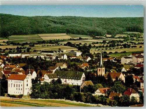 Neckarelz Panorama des Ortes mit Haus Maria Trost Tempelhaus und Martinskirche