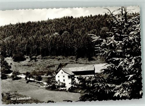 57319 W5920 Beddelhausen Foto AK Pension Hof Leisebach