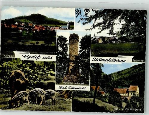 Strümpfelbrunn Panorama des Ortes mit Kirche St. Maria Turm Katzenbuckel Wildschweine Wassermühle im oberen Höllgrund