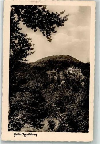 91224 W8561 Pommelsbrunn Foto AK Gasthaus Pension Appelsberg Andro-Verlag