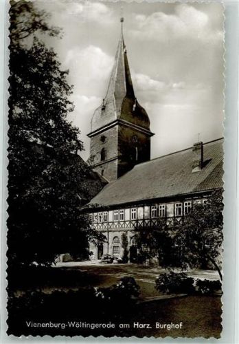 Vienenburg Burg