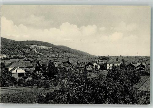 Haardt Panorama des Ortes mit Gasthaus Winzerkeller Fotograf Michel