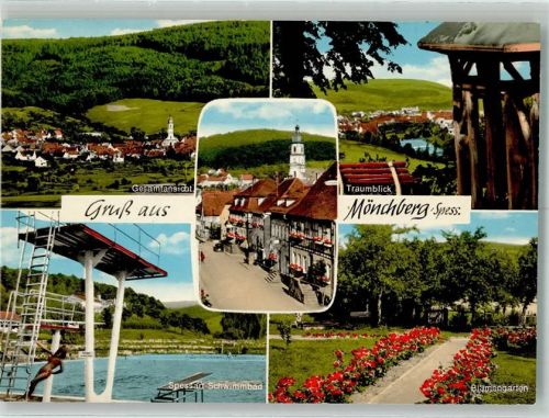 Mönchberg Schwimmbad Blumengarten Traumblick