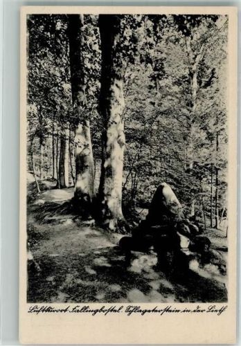 29683 W3032 Fallingbostel - Schlageter-Denkmal