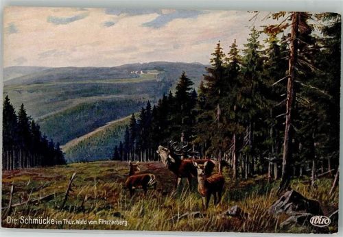 Schmücke No. 3097 Röhrender Hirsch auf der Schmücke