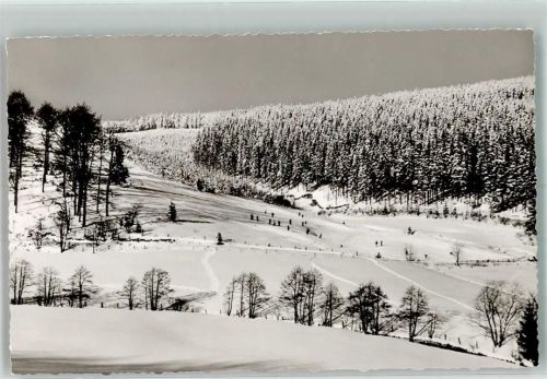 Willingen Winter Skihang in der Wamecke