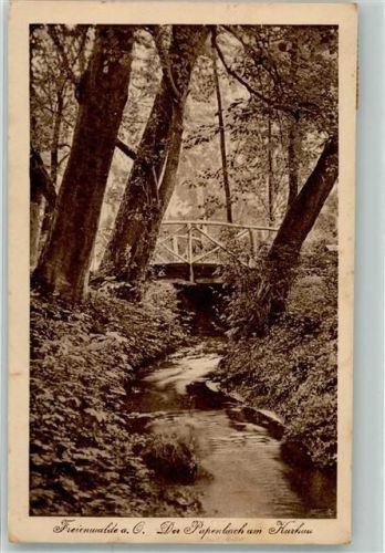 Bad Freienwalde 1925 Papenbach am Kurhaus