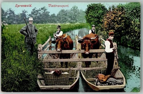 Lehde Viehtransport Spreewald