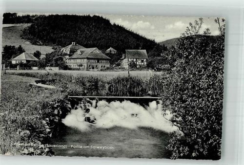 Eslohe Am Salweybach